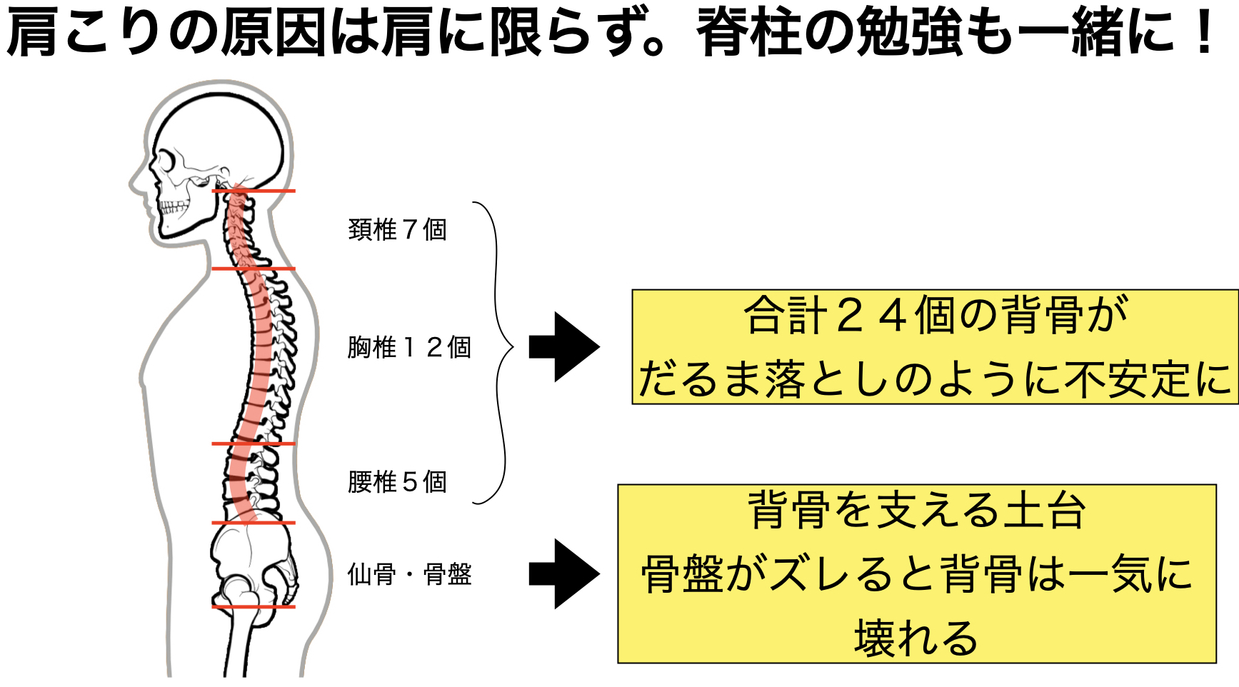 肩こりケアは背骨・骨盤も同時に整える - 美容整体サロンtaina